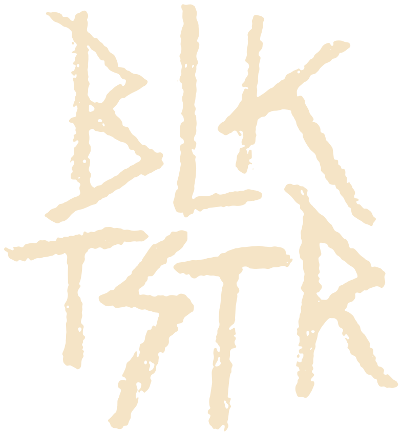 Black Toaster logo (BLK TSTR)